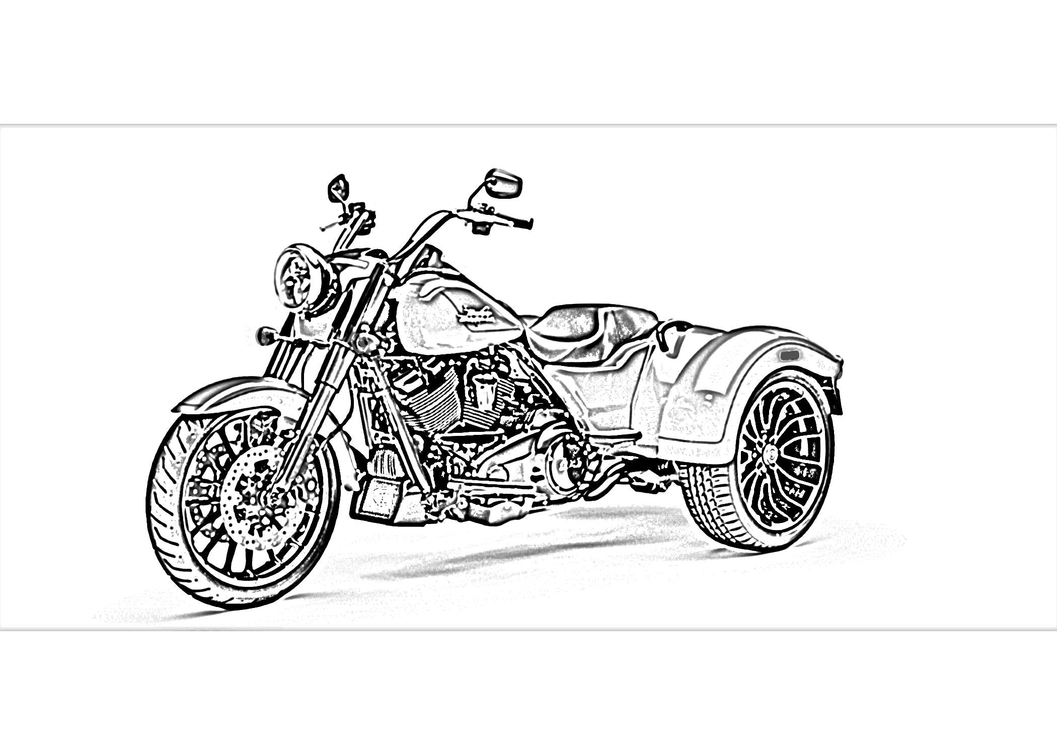 Freewheeler Trike Sketch