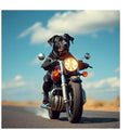 Black Lab on Motorcycle