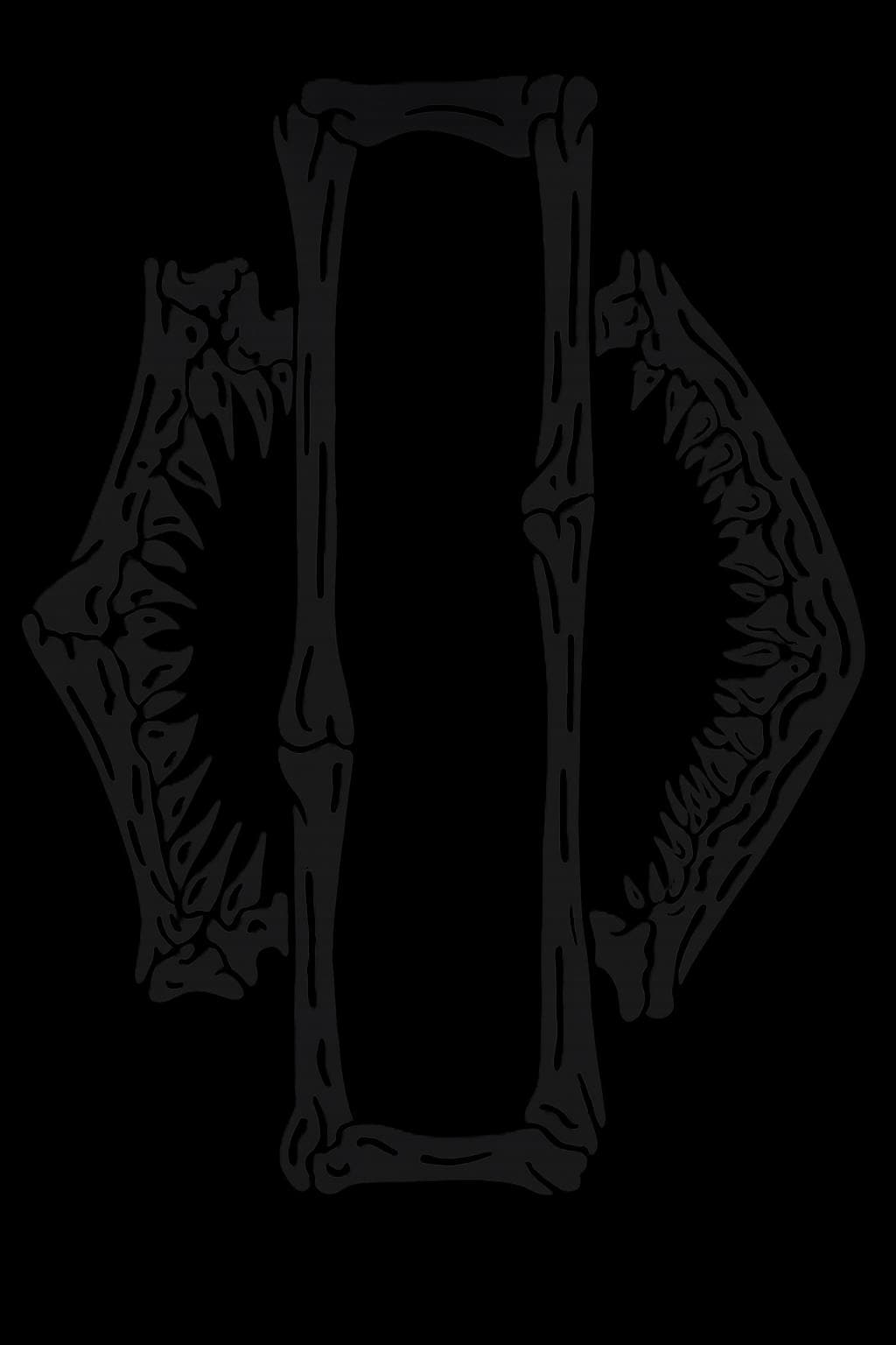 Black Road Glide Shark Decal creation done by Designs by Chad